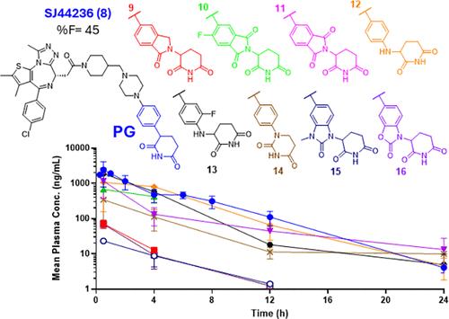 Evaluation of Cereblon-Directing Warheads for the Development of Orally Bioavailable PROTACs