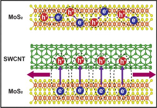 Long-Range Charge Transport Facilitated by Electron Delocalization in MoS2 and Carbon Nanotube Heterostructures