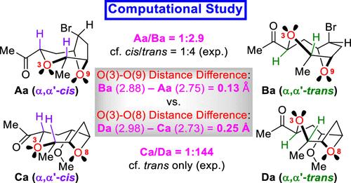 Computational Insights into “Lone Pair–Lone Pair Interaction-Controlled” Isomerization in the Asymmetric Total Syntheses of (+)-3-(Z)-Laureatin and (+)-3-(Z)-Isolaureatin