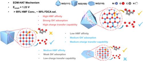 Highly Exposed Low-Valence Ni Sites of NiO(111) for Efficient Electrocatalytic Biomass Upgrading