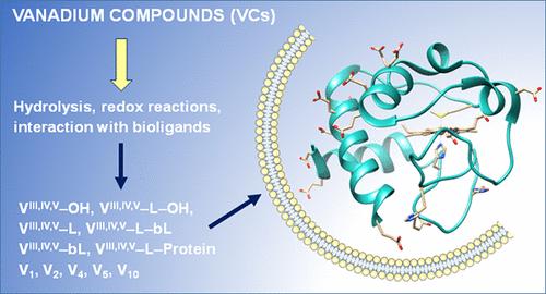 Hydrolysis, Ligand Exchange, and Redox Properties of Vanadium Compounds: Implications of Solution Transformation on Biological, Therapeutic, and Environmental Applications