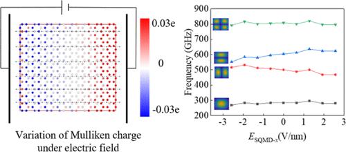 Vibration Analysis of Hexagonal Boron Nitride under Electric Field via Semiempirical Quantum Mechanical Method