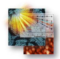 Controllable properties of NiO nanostructures fabricated by plasma assisted-chemical vapor deposition