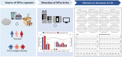 Synergistic effect of synthetic phenolic antioxidant exposure and overweight/obesity on altered sex hormone levels: Normoglycemic rural Chinese population