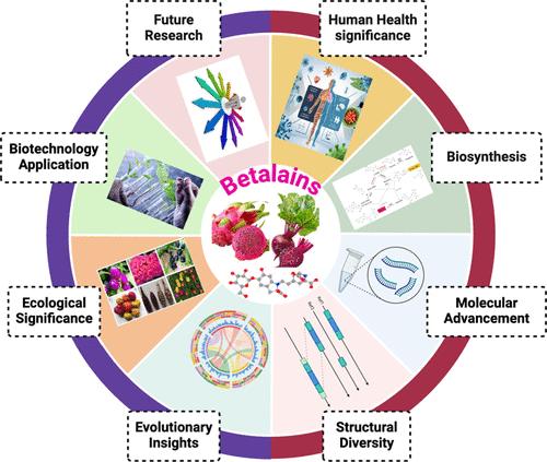 Emerging Trends in Secondary Metabolite Research in Caryophyllales: Betalains and Their Roles in Plant Adaptation and Defense Mechanisms