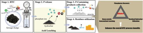 Phosphorus Recovery from Sewage Sludge-Derived Hydrochar: Balancing Phosphorus Recovery, Heavy Metal Concomitant Leaching and Residual Hydrochar Utilization