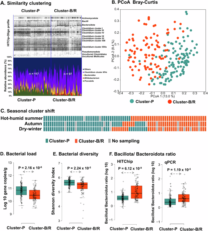 Fermented foods affect the seasonal stability of gut bacteria in an Indian rural population