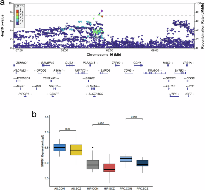 Acid sphingomyelinase activity suggests a new antipsychotic pharmaco-treatment strategy for schizophrenia