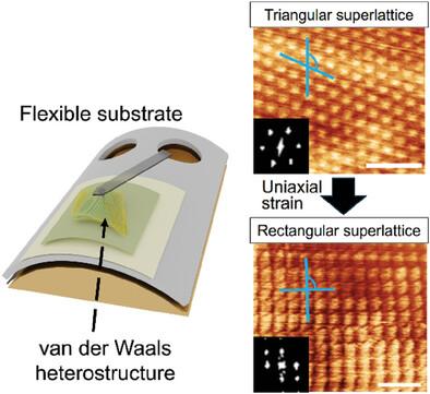Continuous Strain Modulation of Moiré Superlattice Symmetry From Triangle to Rectangle