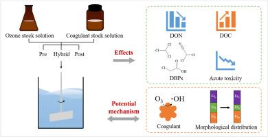 Effects of ozonation-enhanced coagulation on effluent organic matter and disinfection byproducts