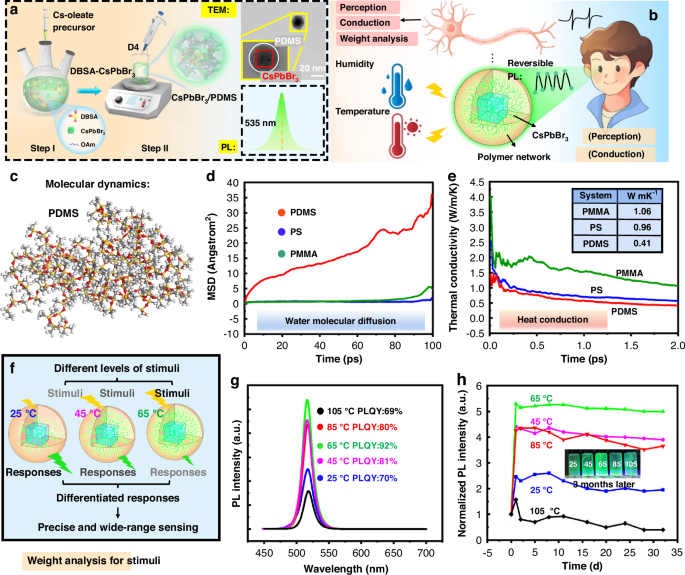 Neuron-inspired CsPbBr3/PDMS nanospheres for multi-dimensional sensing and interactive displays