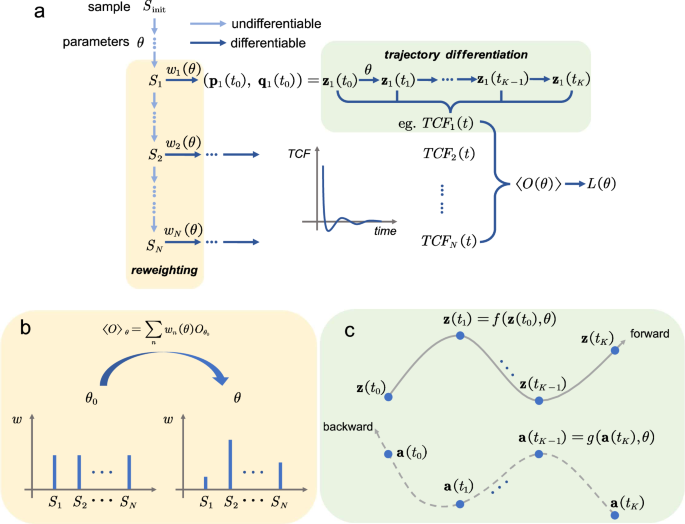 Refining potential energy surface through dynamical properties via differentiable molecular simulation