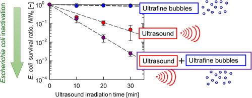 Effect of ultrafine bubbles on ultrasound-induced microbial inactivation