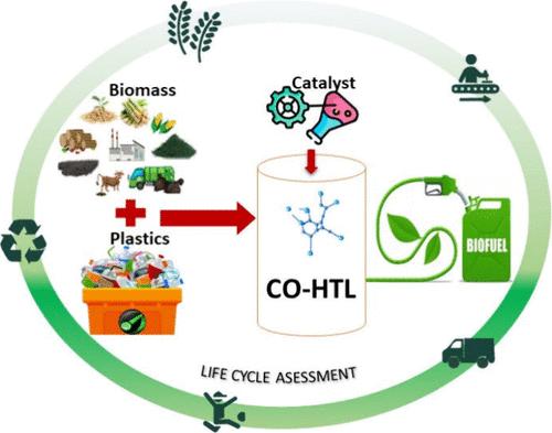Biofuel Production Boosted by Plastic Waste: Co-Hydrothermal Liquefaction of Plastic and Biomass toward Sustainable Energy
