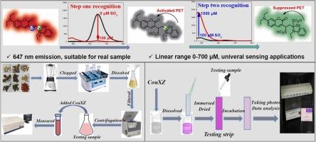 A two-step recognition fluorescent probe for ultra-wide range detection of SO2 in food and water samples
