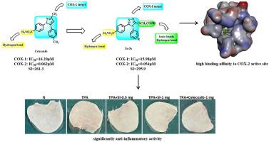 Design, synthesis, and evaluation of carboxylic acid-substituted celecoxib isosteres as potential anti-inflammatory agents