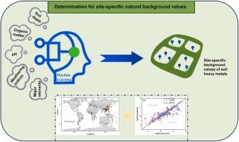 Machine learning-supported determination for site-specific natural background values of soil heavy metals