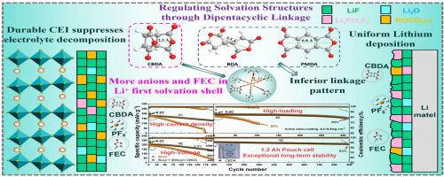 Molecular space linkage of dipentacyclic anhydride additives for long-lifespan Li-metal batteries with Ni-rich cathode