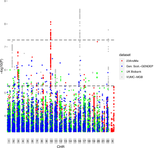 Treatment-resistant depression: role of genetic factors in the perspective of clinical stratification and treatment personalisation