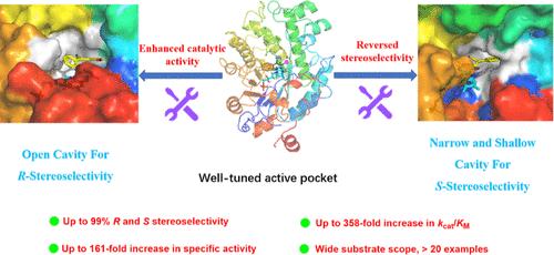 Reshaping the Substrate-Binding Pocket of Ene-Reductase for Enhanced and Inverted Stereoselectivity: A Concise Access to the Stereocomplementary Chiral GABA Derivatives