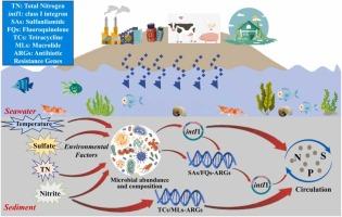 Antibiotic resistance genes (ARGs) in microorganisms and their indications for the nitrogen/sulfur cycle in the East China Sea sediments