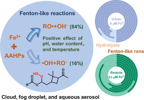 Rapid Iron-Mediated Aqueous-Phase Reactions of Organic Peroxides from Monoterpene-Derived Criegee Intermediates and Implications for Aerosol and Cloud Chemistry