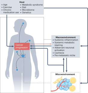 Metabolic interplays between the tumour and the host shape the tumour macroenvironment