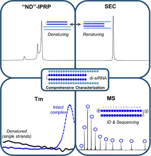 Revealing New Analytical Insights into RNA Complexes: Divalent siRNA Characterization by Liquid Chromatography and Mass Spectrometry