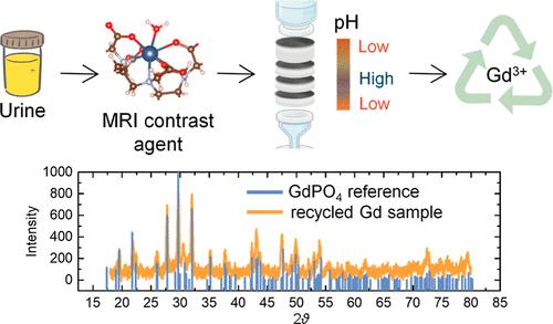 Electrochemical Filtration of Gadolinium from Patient Urine after Magnetic Resonance Imaging