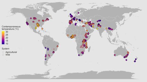 Impacts of Weather Anomalies and Climate on Plant Disease