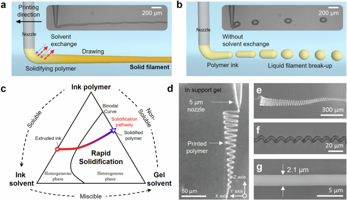 Fast 3D printing of fine, continuous, and soft fibers via embedded solvent exchange