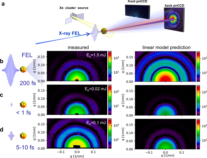 Non-linear enhancement of ultrafast X-ray diffraction through transient resonances