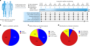 Long-term safety of lentiviral or gammaretroviral gene-modified T cell therapies