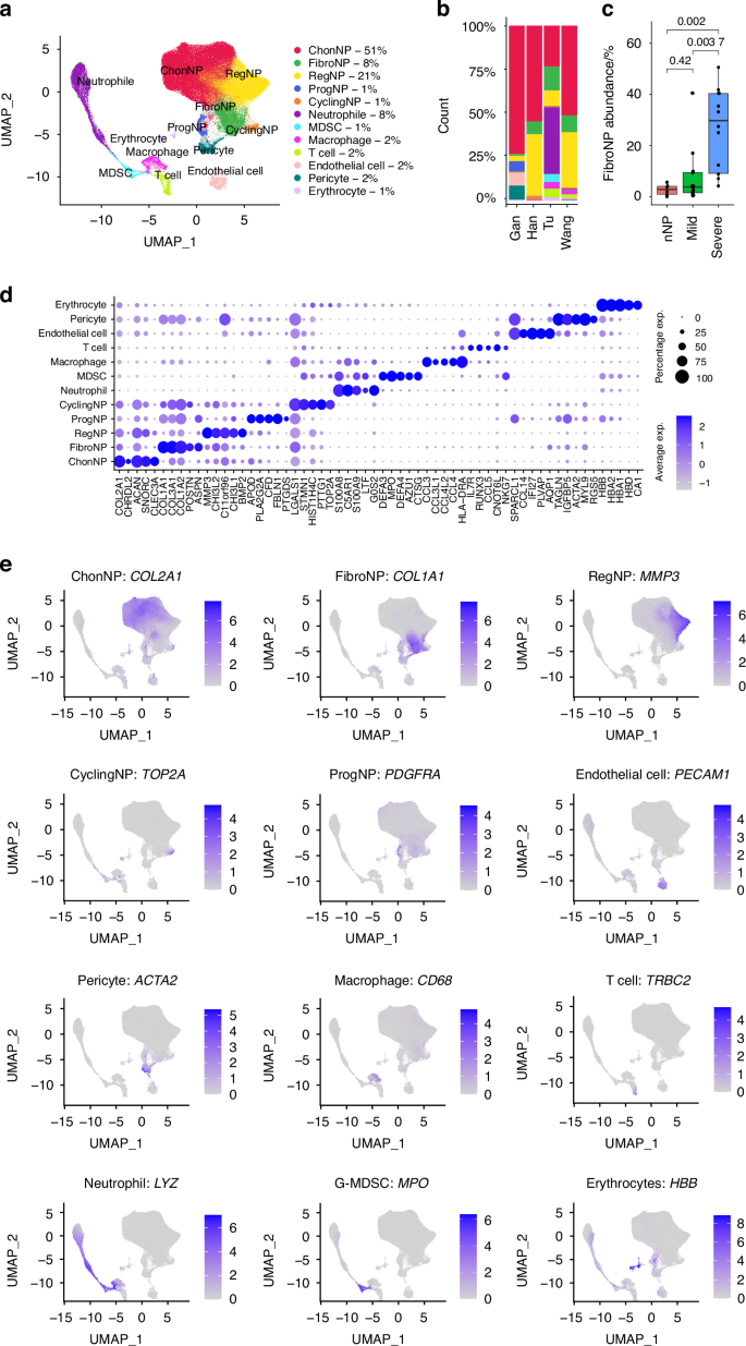 Fibrocyte enrichment and myofibroblastic adaptation causes nucleus pulposus fibrosis and associates with disc degeneration severity