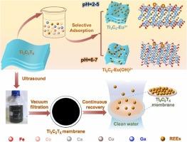 Functionalized 2D Multilayered MXene for Selective and Continuous Recovery of Rare Earth Elements from Real Wastewater Matrix