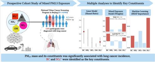 Associations between long-term exposure to fine particulate matter and its constituents with lung cancer incidence: Evidence from a prospective cohort study in Beijing, China