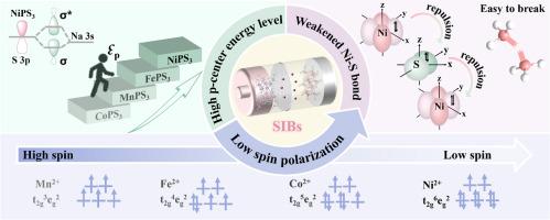 Exploring the Role of Spin Polarization in Enhancing Sodium Storage Capabilities of Two-Dimensional Transition Metal Thiophosphites