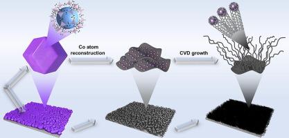Reconstruction of cobalt atoms in ZIF-67 and in-situ growth of carbon nanotubes at low temperature for High-Performance strain sensors