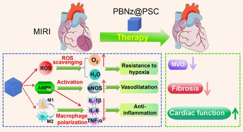 Prussian Blue Nanozyme Featuring Enhanced Superoxide Dismutase-like Activity for Myocardial Ischemia Reperfusion Injury Treatment