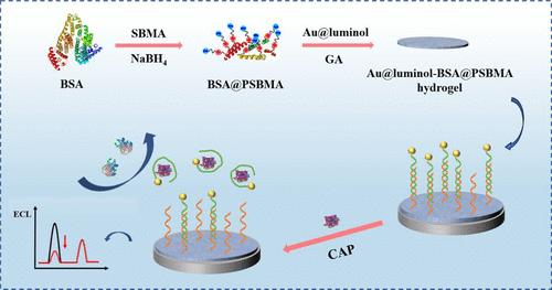 High-Efficiency Electrochemiluminescence Biosensor with Antifouling and Antibacterial Functions for Sensitive and Accurate Analysis of Chloramphenicol in Seawater