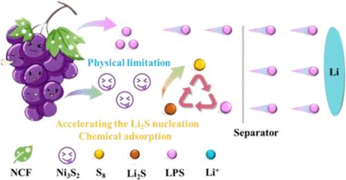 Nitrogen-Doped Porous Nanofiber Aerogel-Encapsulated Staphylo-Ni3S2 Accelerating Polysulfide Conversion for Efficient Li–S Batteries