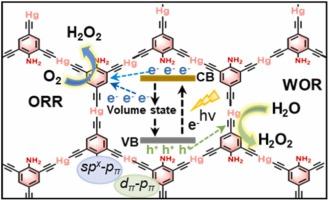 Synergy of Amino and Mercury(II) Ions Enables Metallated Graphyne with Controlled Charge Migration for Dual H2O2 Photoproduction in Pure Water