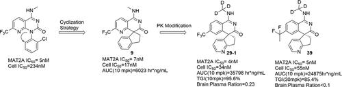 Discovery of Novel Spirocyclic MAT2A Inhibitors Demonstrating High In Vivo Efficacy in MTAP-Null Xenograft Models