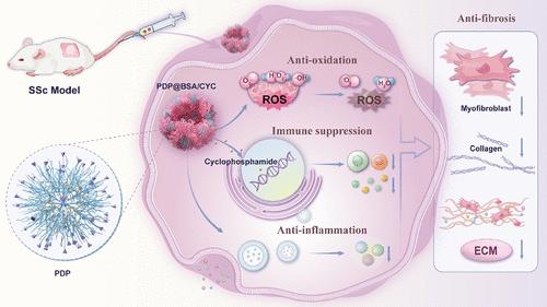 Extracellular Matrix-Inspired Dendrimer Nanogels Encapsulating Cyclophosphamide for Systemic Sclerosis Treatment
