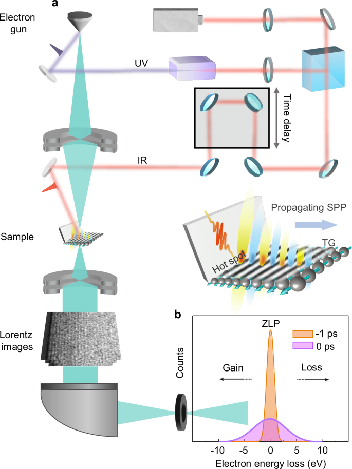 Spatiotemporal observation of surface plasmon polariton mediated ultrafast demagnetization