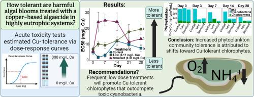 Evaluating the tolerance of harmful algal bloom communities to copper