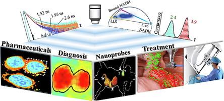 Fluorescence lifetime imaging in drug delivery research