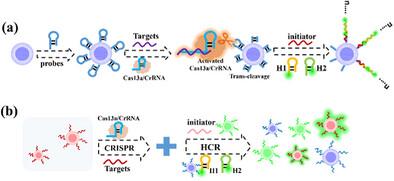 CRISPR/Cas13a-Enhanced Porous Hydrogel Encapsulated Photonic Barcodes for Multiplexed Detection of Virus