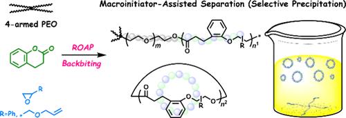 A Pseudo-Block Copolymerization Access to Cyclic Alternating Copolymers through Segment-Selective Transesterification