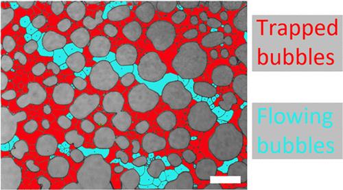 Analysis of Foam Mobility and Foam Texture in Heterogeneous Microfluidic Porous Media